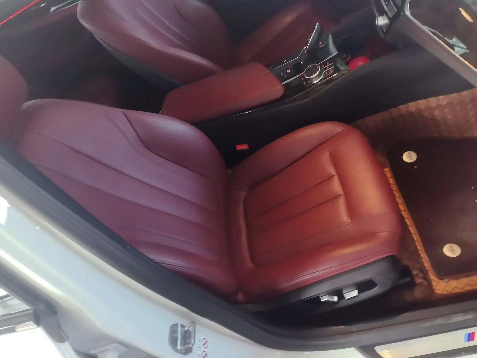 BMW 5 Series 2019 Facelifted 530Li Leading Edition M Sport Package — миниатюра 24