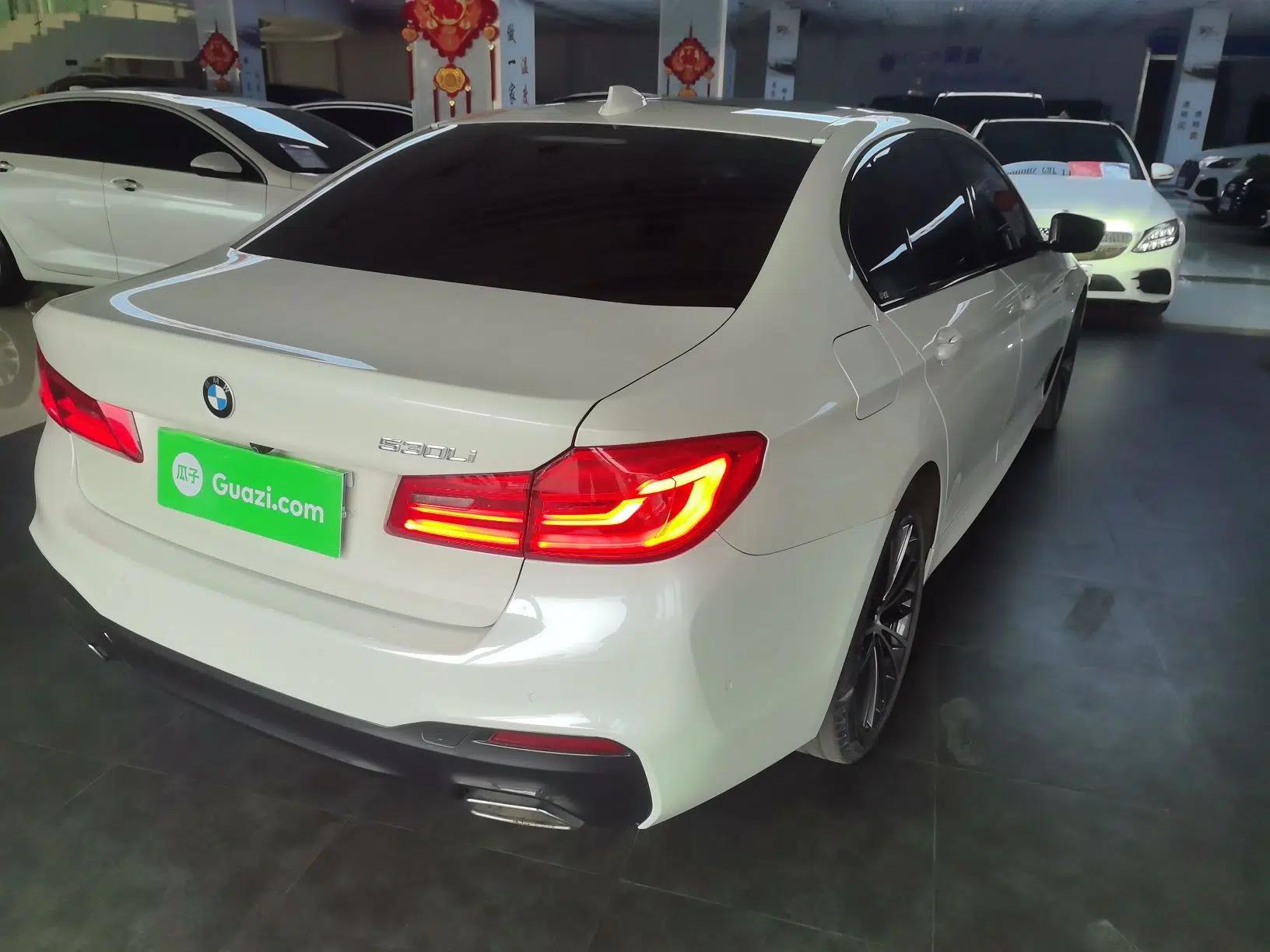 BMW 5 Series 2019 Facelifted 530Li Leading Edition M Sport Package — миниатюра 6