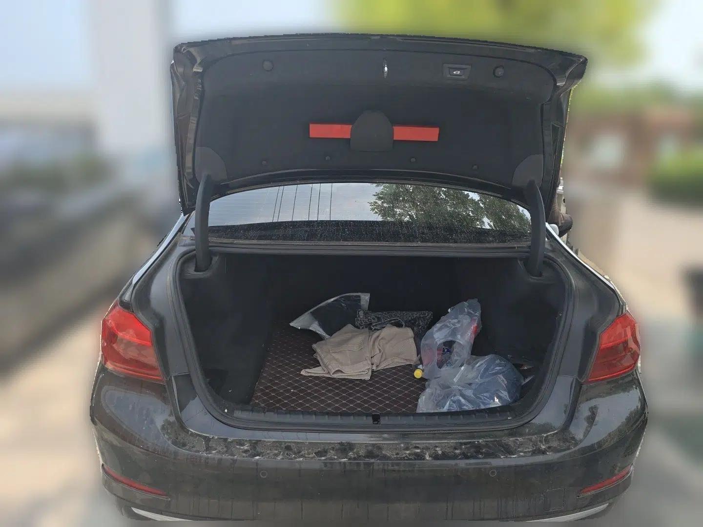 BMW 5 Series 2019 525Li Luxury Package — миниатюра 19