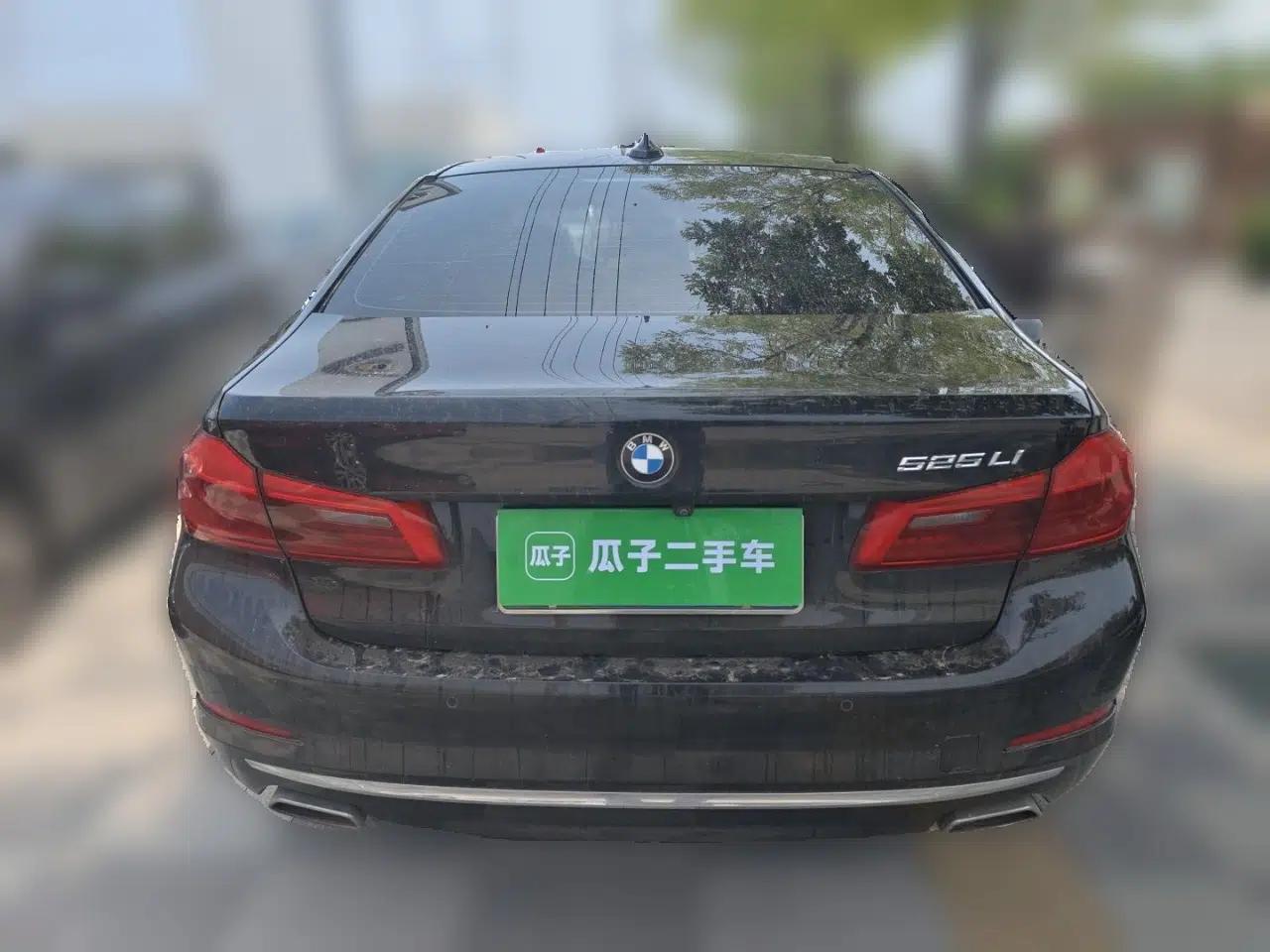 BMW 5 Series 2019 525Li Luxury Package — миниатюра 5