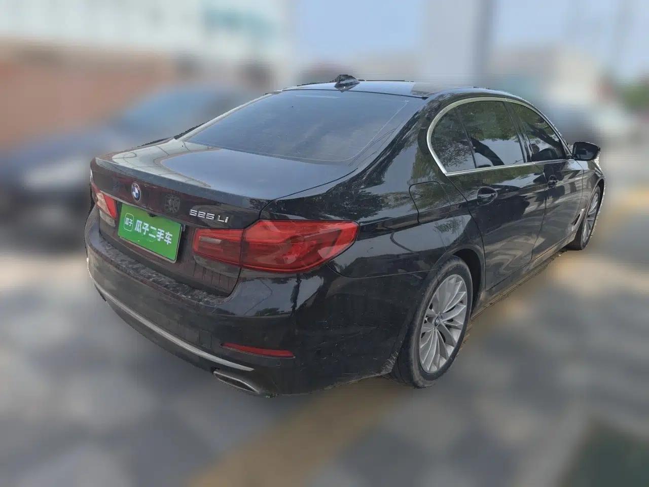 BMW 5 Series 2019 525Li Luxury Package — миниатюра 6