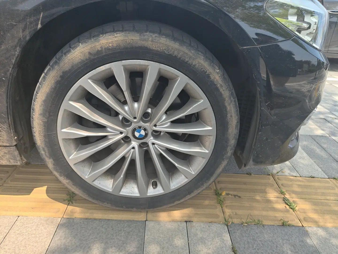 BMW 5 Series 2019 525Li Luxury Package — миниатюра 8