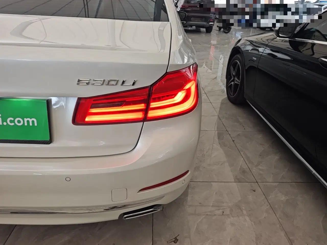 BMW 5 Series 2020 530Li Luxury Edition Premium Package — миниатюра 14