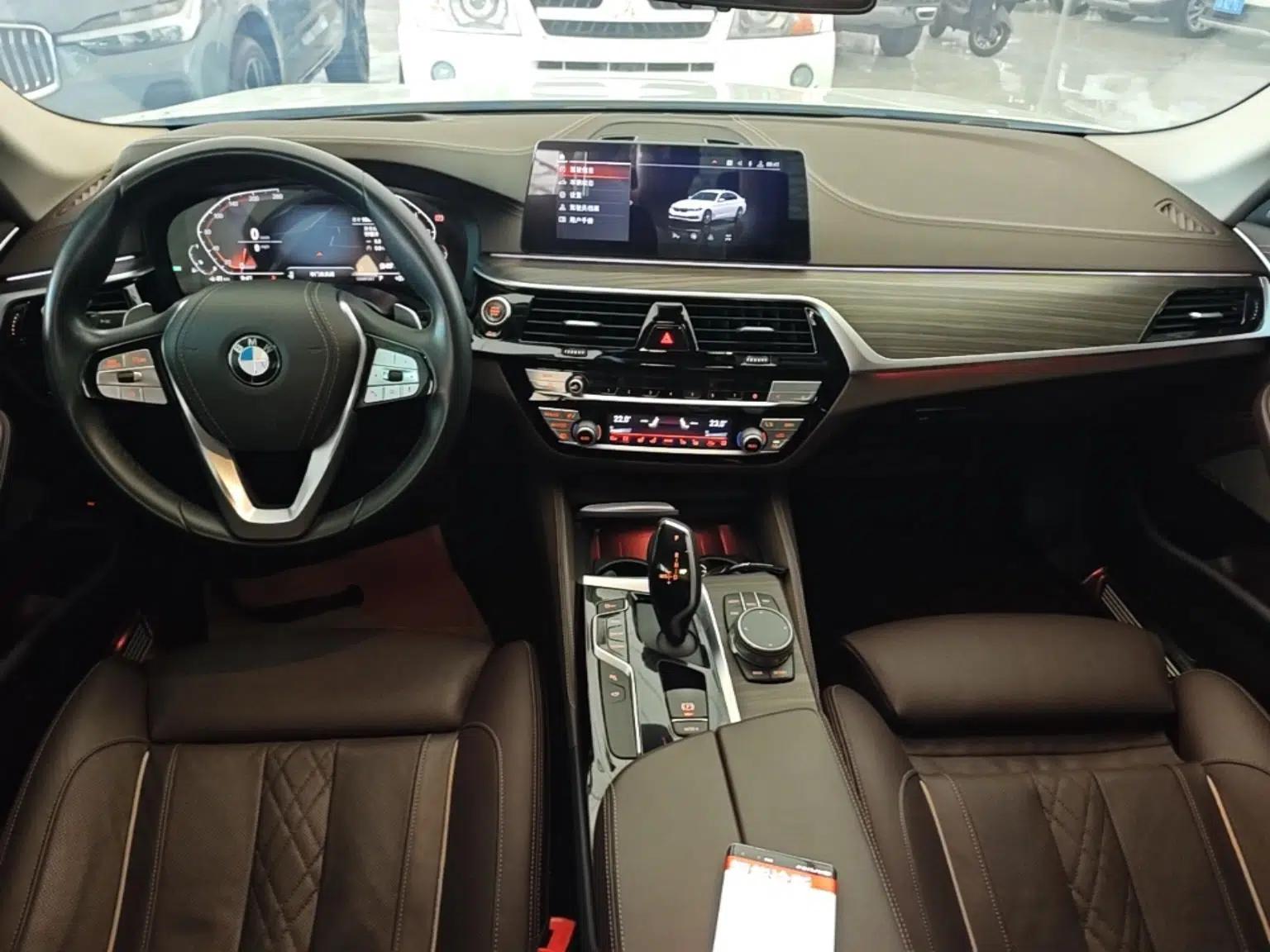BMW 5 Series 2020 530Li Luxury Edition Premium Package — миниатюра 17