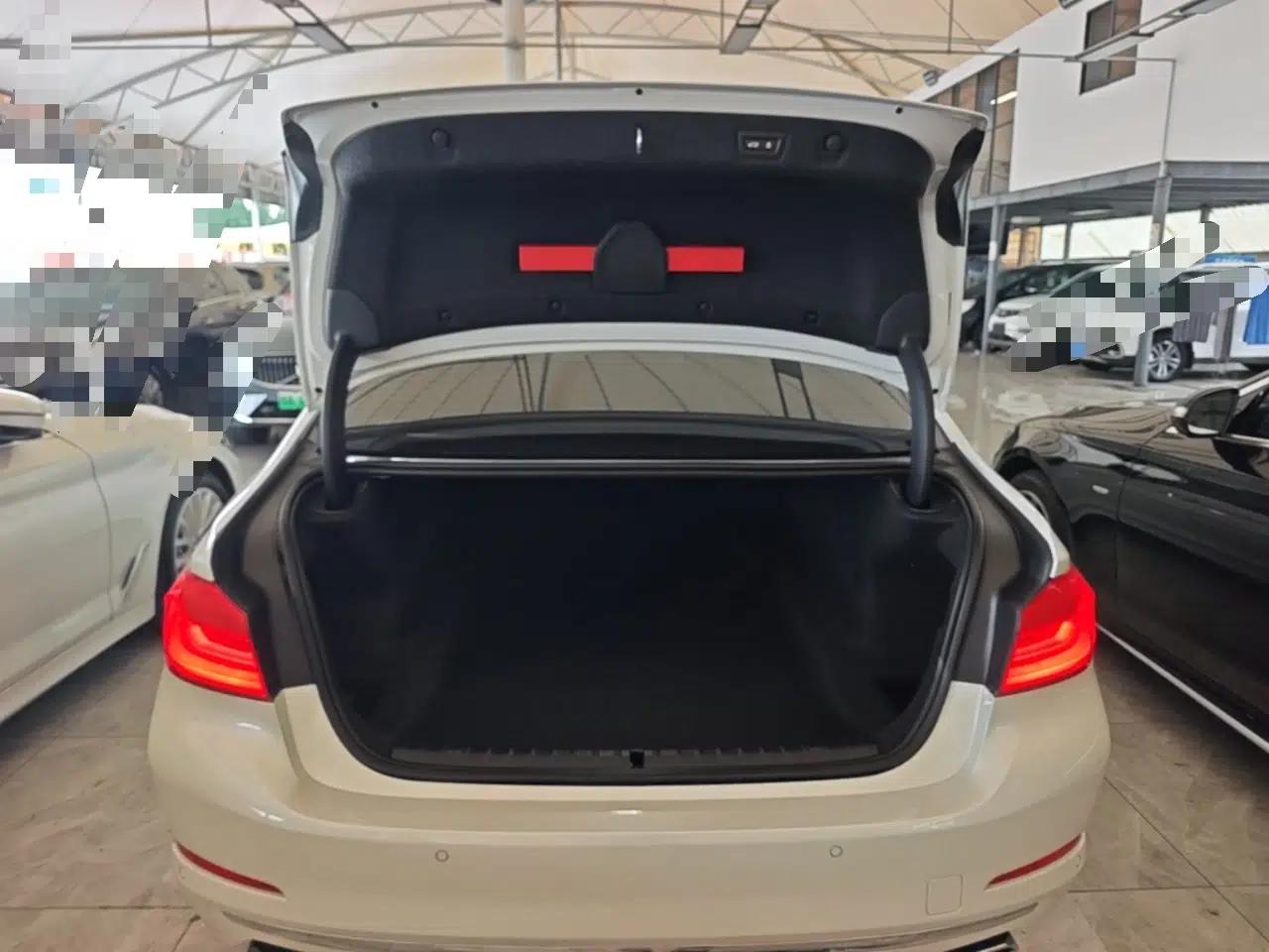 BMW 5 Series 2020 530Li Luxury Edition Premium Package — миниатюра 27