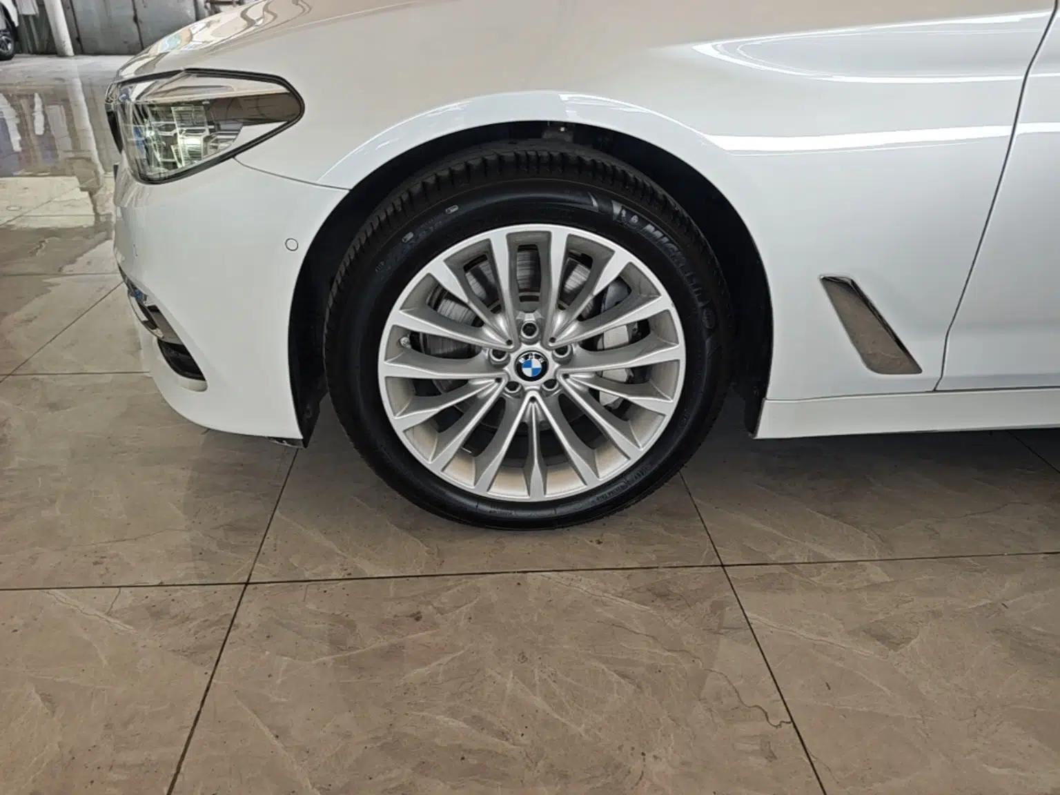 BMW 5 Series 2020 530Li Luxury Edition Premium Package — миниатюра 10