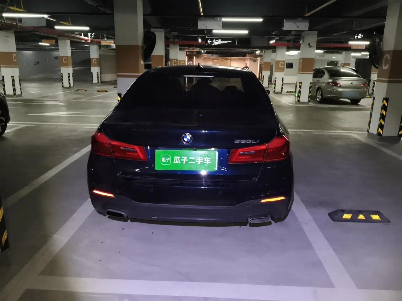 BMW 5 Series 2020 530Li Luxury Edition M Sport Package — миниатюра 5
