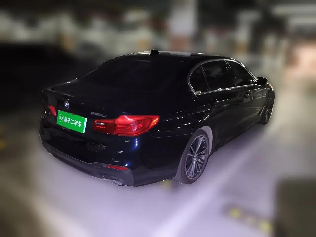 BMW 5 Series 2020 530Li Luxury Edition M Sport Package — миниатюра 6