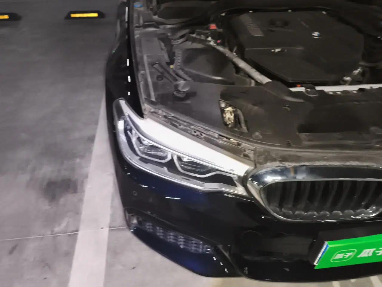 BMW 5 Series 2020 530Li Luxury Edition M Sport Package — миниатюра 7