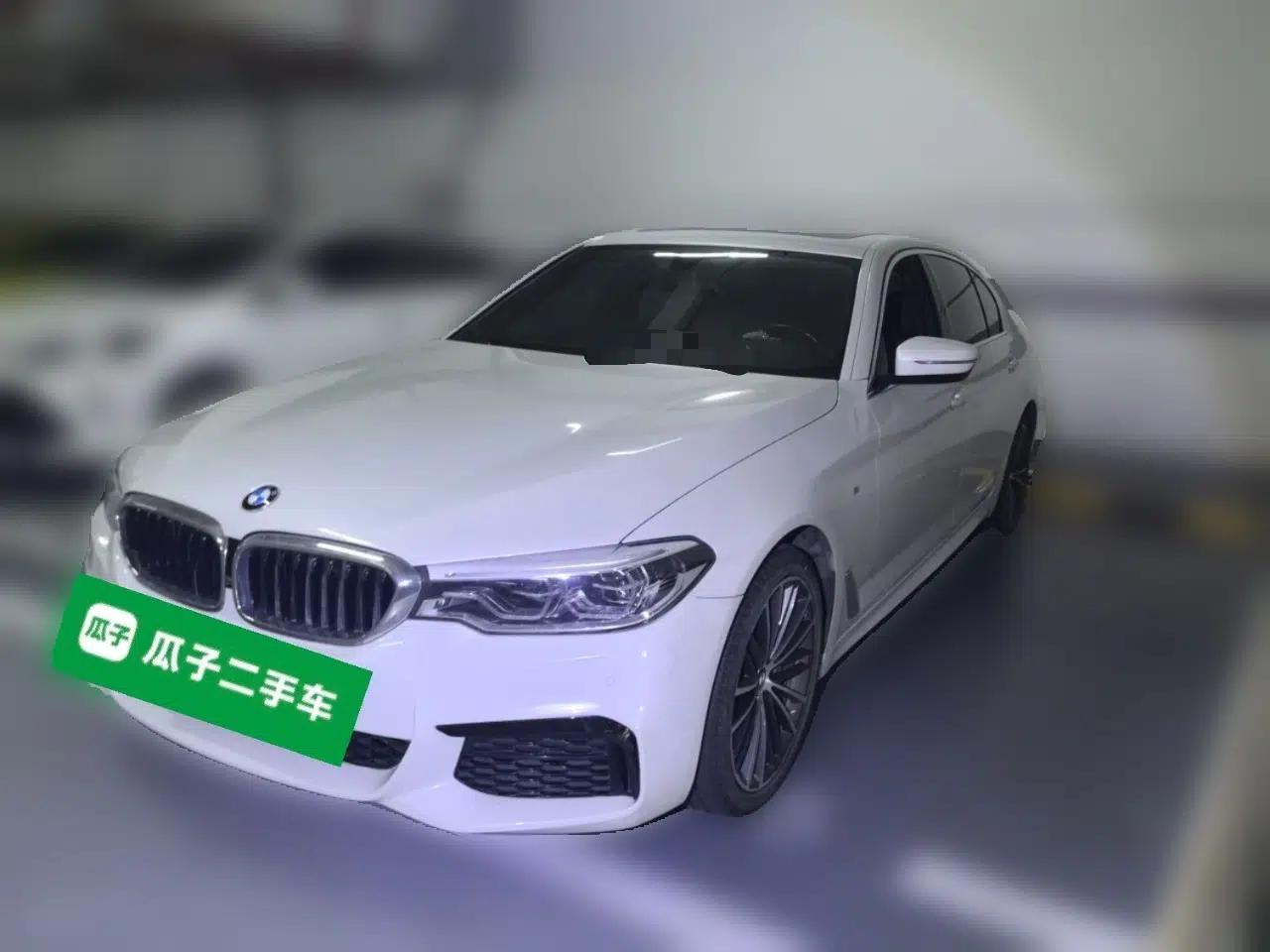 BMW 5 Series 2020 530Li Luxury Edition M Sport Package — миниатюра 1