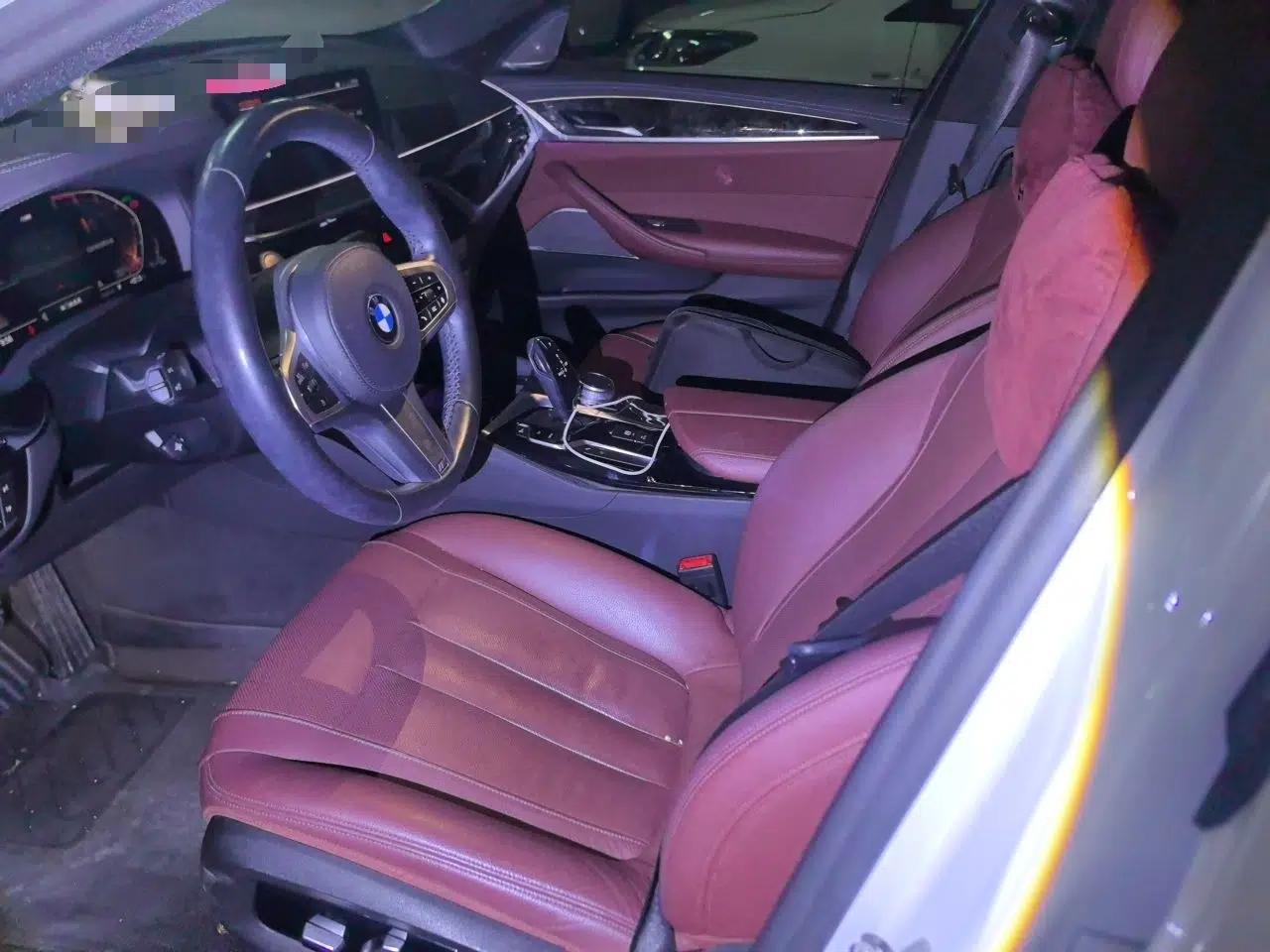 BMW 5 Series 2020 530Li Luxury Edition M Sport Package — миниатюра 15