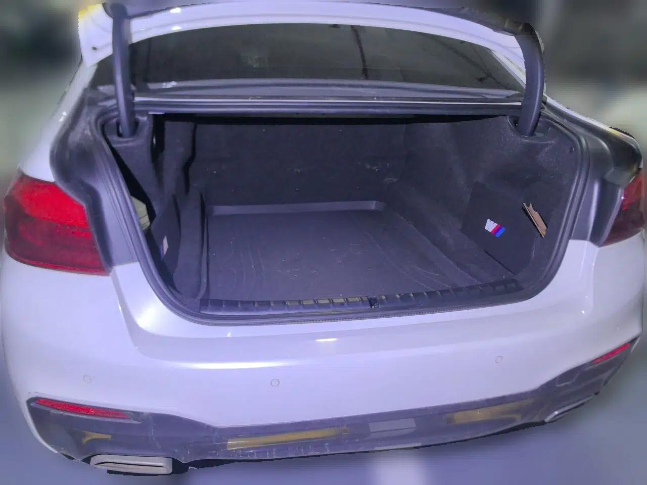 BMW 5 Series 2020 530Li Luxury Edition M Sport Package — миниатюра 19
