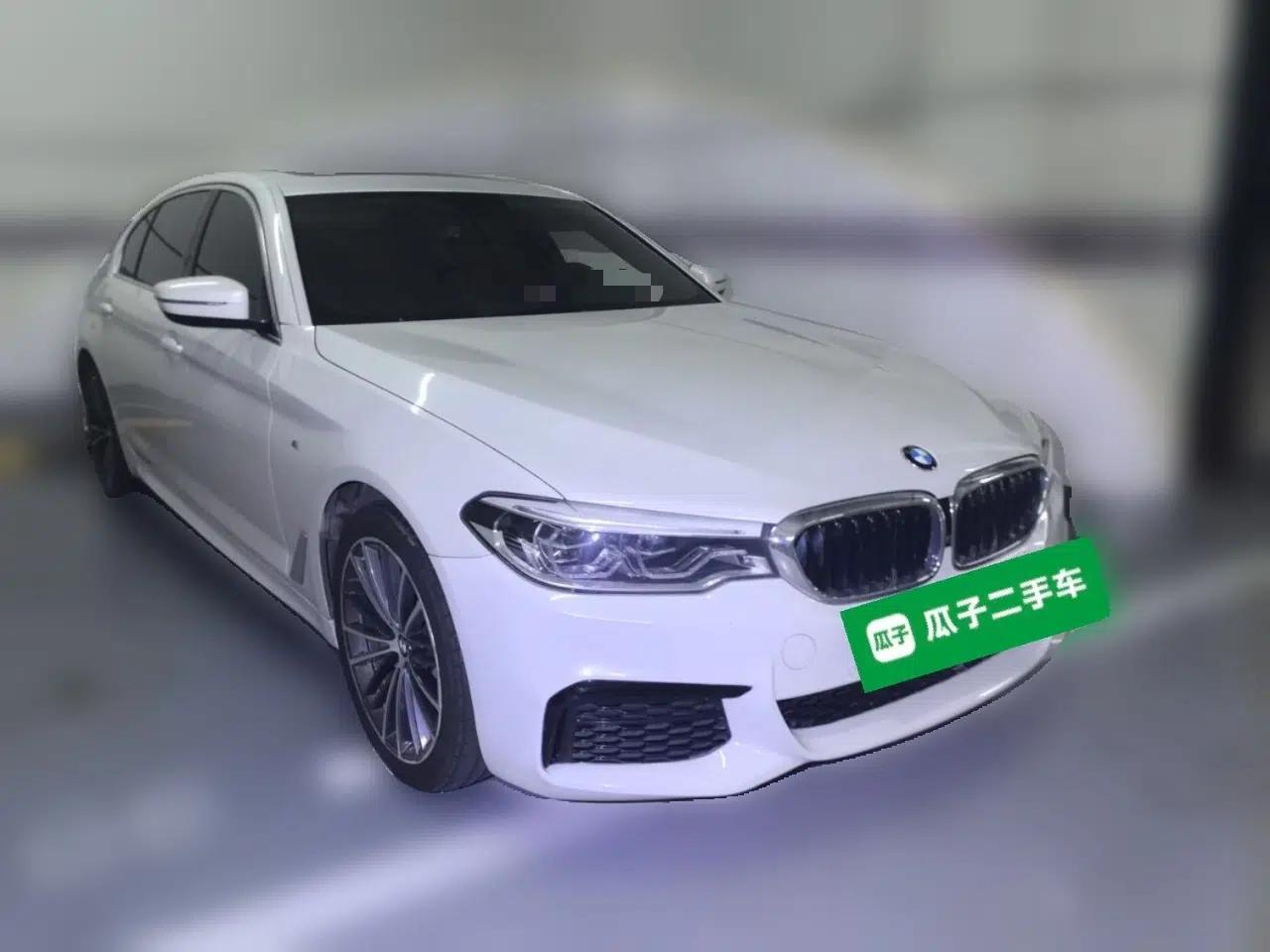 BMW 5 Series 2020 530Li Luxury Edition M Sport Package — миниатюра 3
