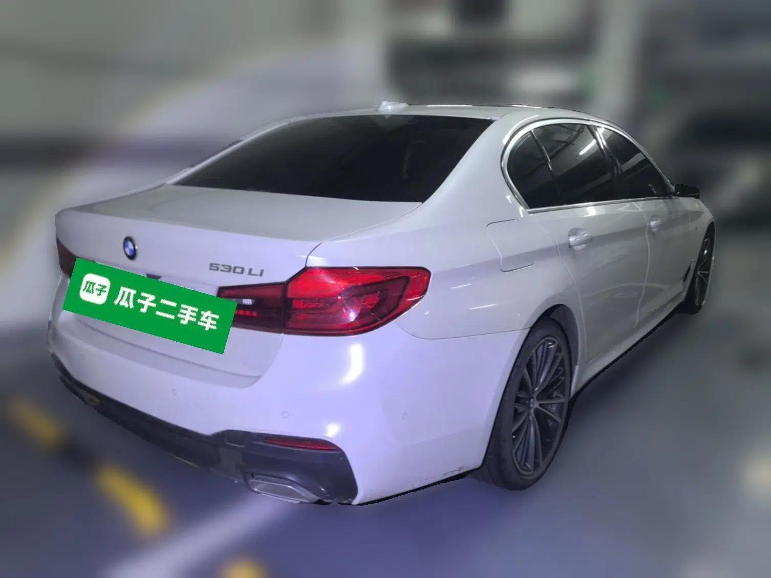 BMW 5 Series 2020 530Li Luxury Edition M Sport Package — миниатюра 6