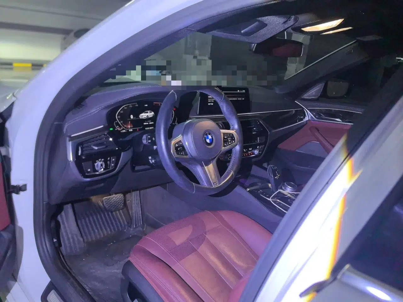 BMW 5 Series 2020 530Li Luxury Edition M Sport Package — миниатюра 9