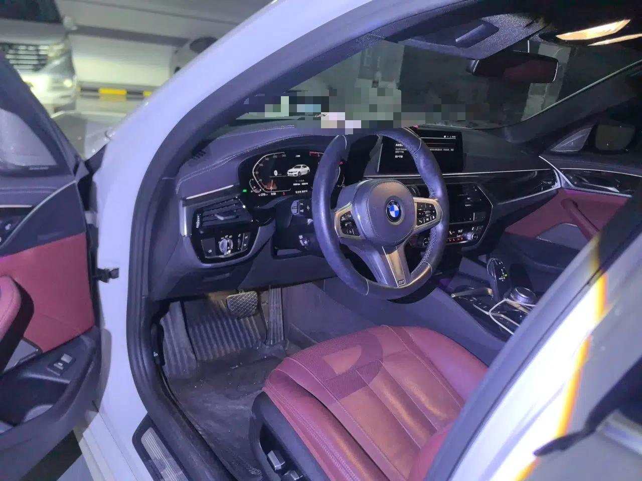 BMW 5 Series 2020 530Li Luxury Edition M Sport Package — миниатюра 10