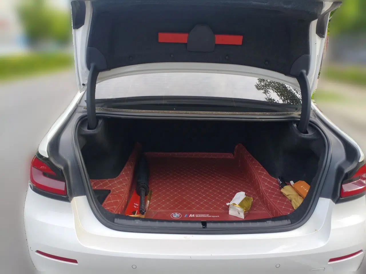 BMW 5 Series 2022 Restyled 525Li Luxury Package — миниатюра 19