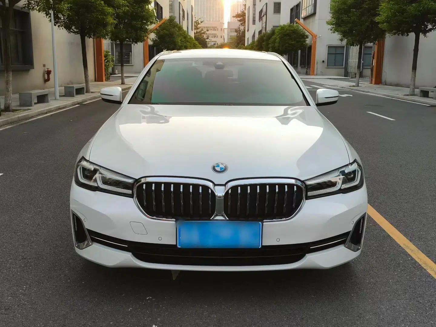 BMW 5 Series 2023 530Li Leading Edition Luxury Package — миниатюра 13