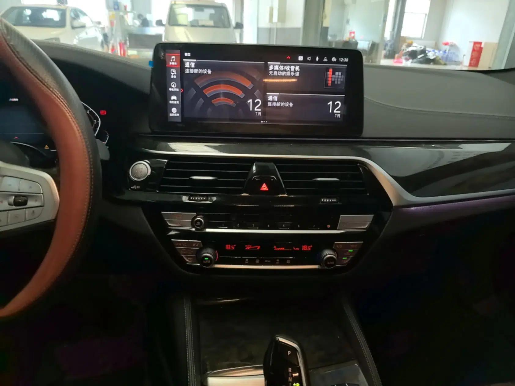 BMW 5 Series 2022 Second Facelift 525Li M Sport Package — миниатюра 15