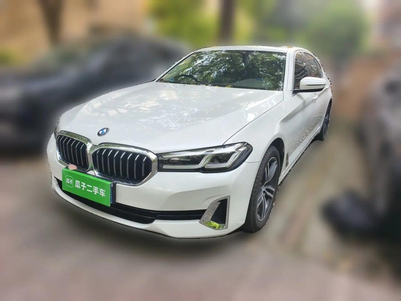 BMW 5 Series 2021 530Li Leading Luxury Package — миниатюра 1