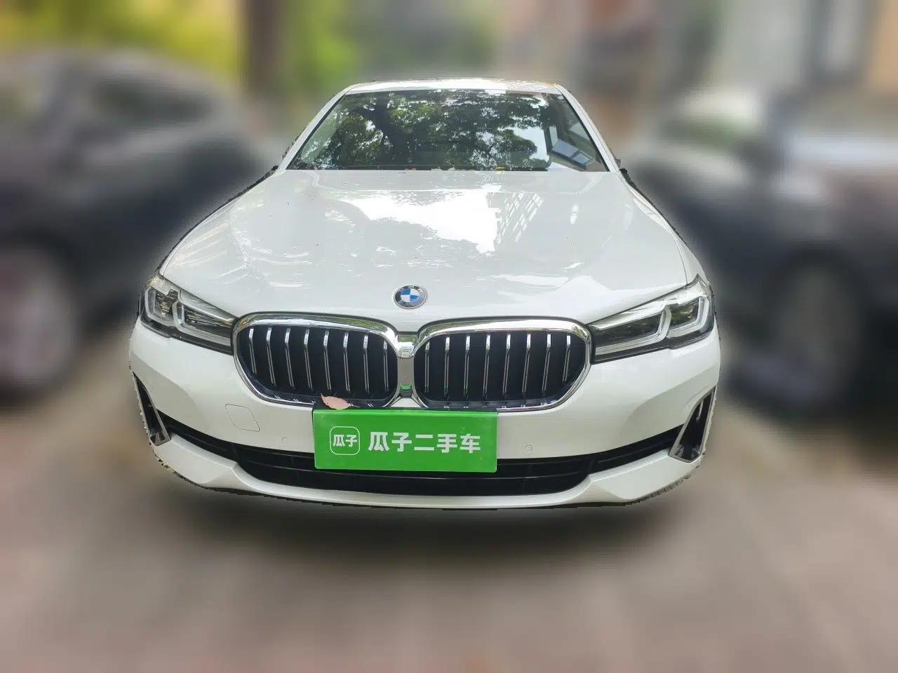 BMW 5 Series 2021 530Li Leading Luxury Package — миниатюра 2