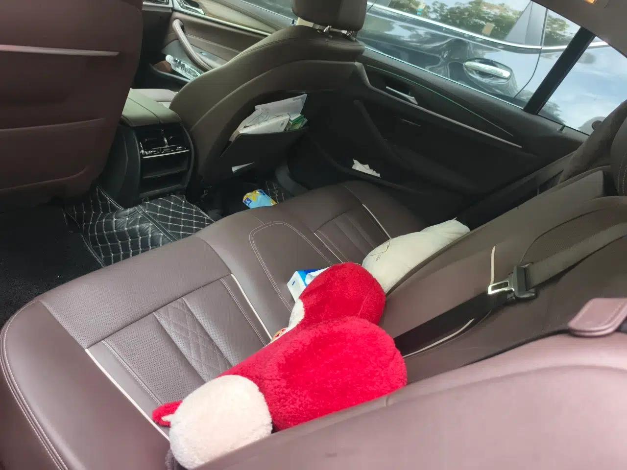 BMW 5 Series 2021 530Li Leading Luxury Package — миниатюра 20