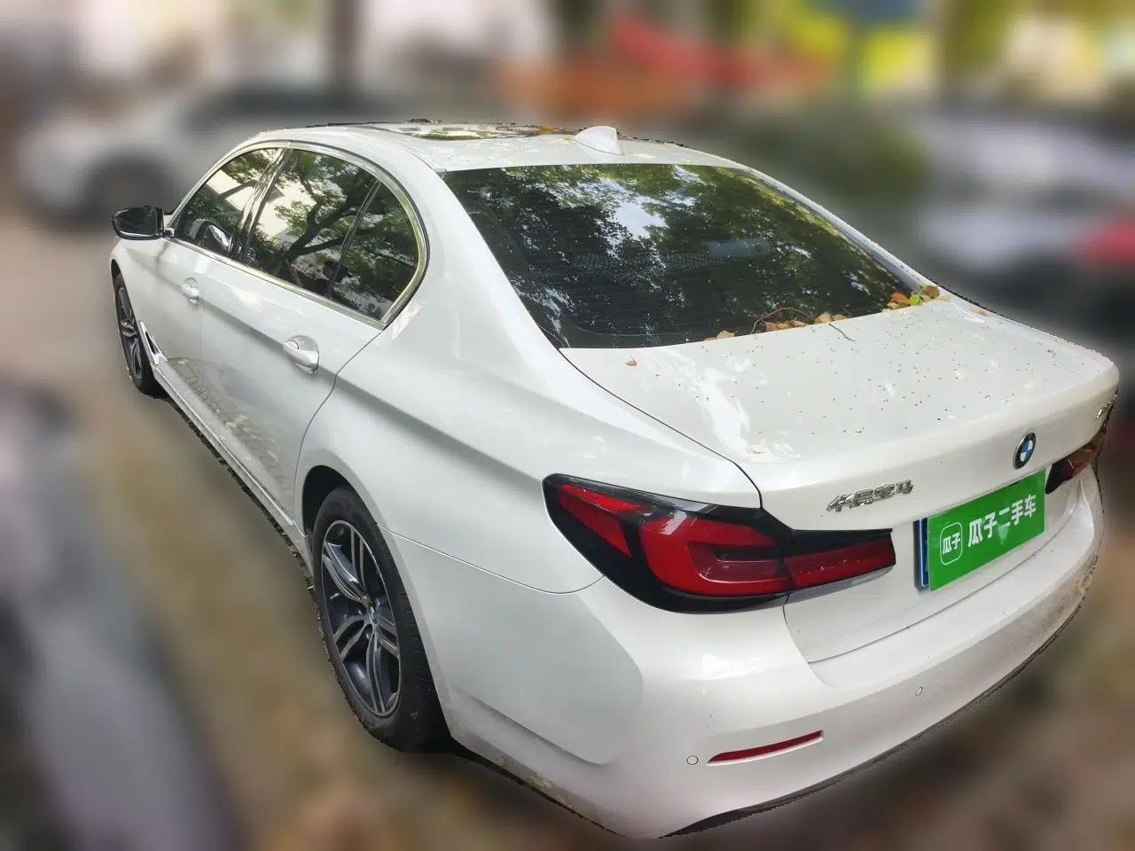 BMW 5 Series 2021 530Li Leading Luxury Package — миниатюра 4