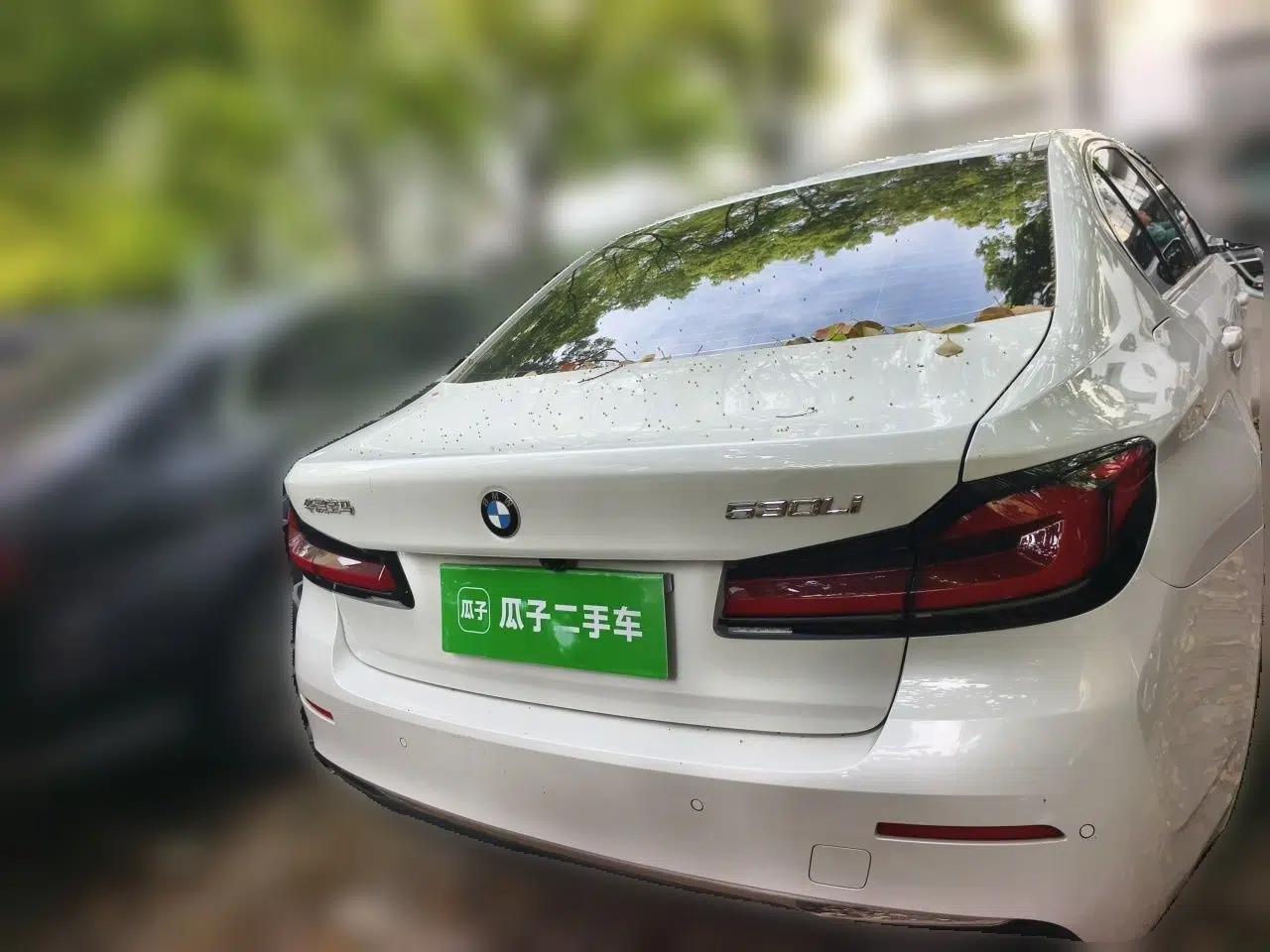BMW 5 Series 2021 530Li Leading Luxury Package — миниатюра 5