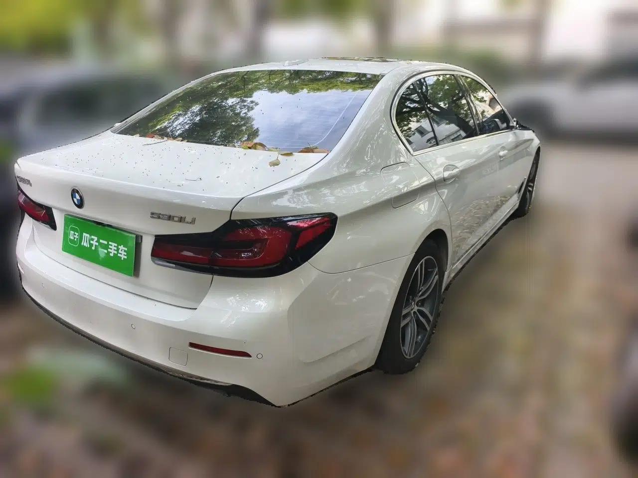 BMW 5 Series 2021 530Li Leading Luxury Package — миниатюра 6