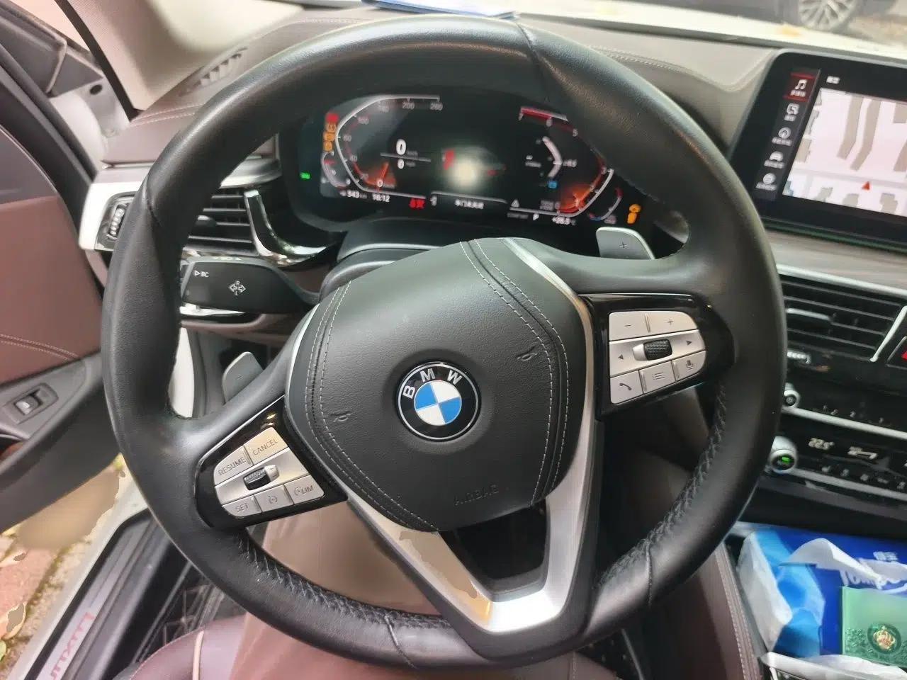 BMW 5 Series 2021 530Li Leading Luxury Package — миниатюра 9