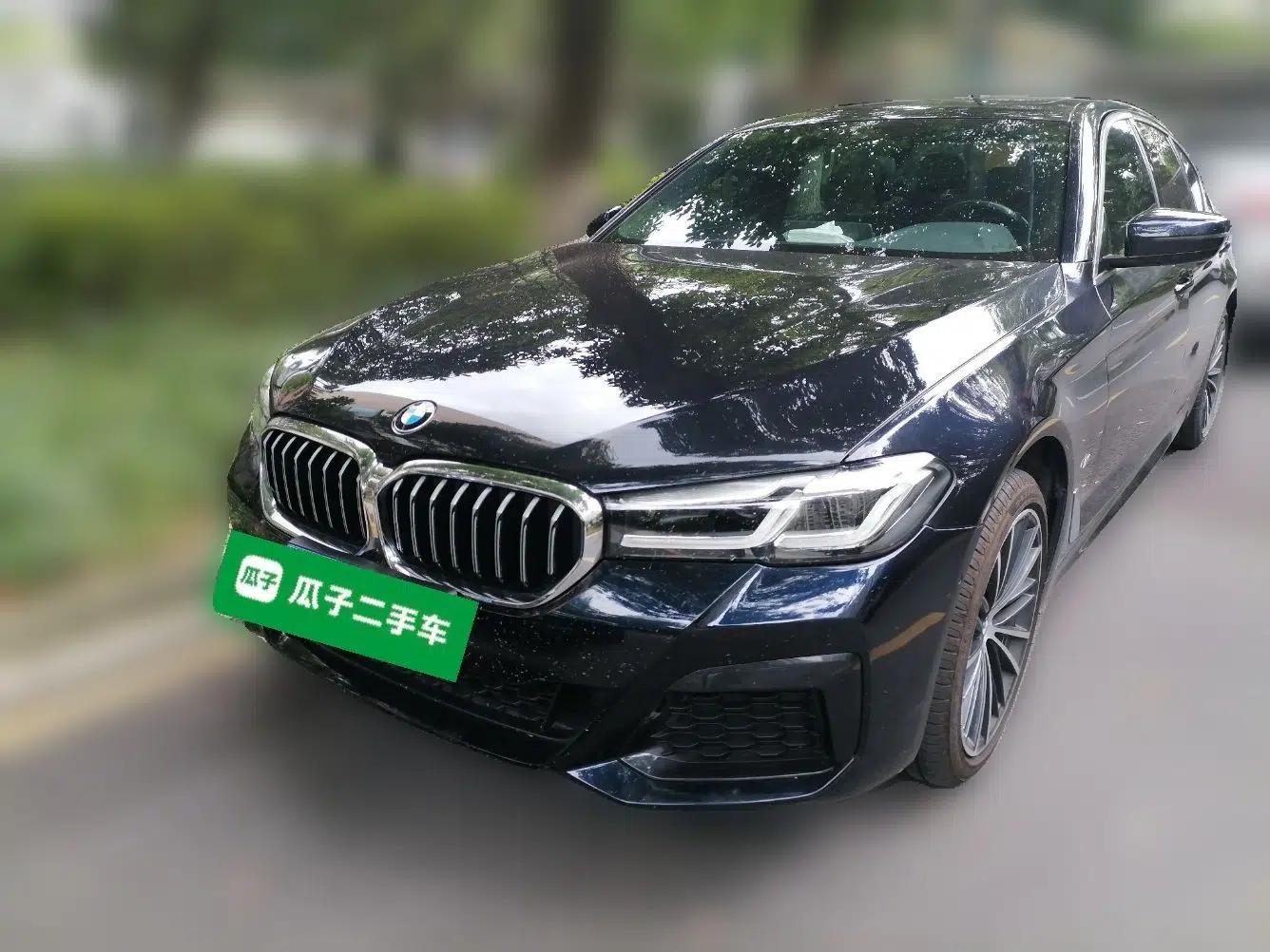 BMW 5 Series 2021 530Li Leading Model M Sport Package — миниатюра 1