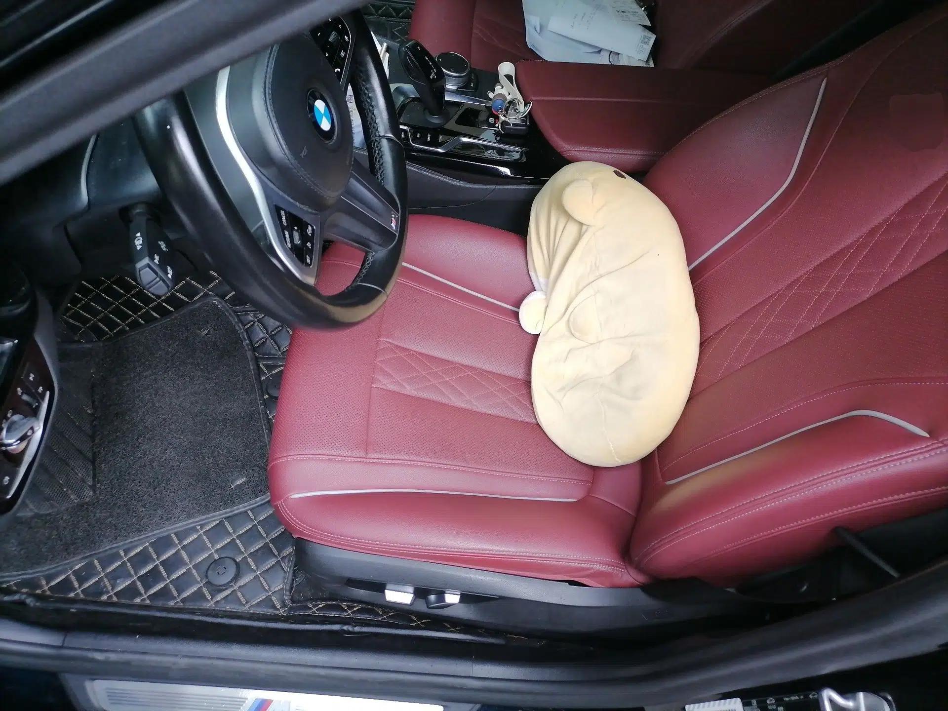 BMW 5 Series 2021 530Li Leading Model M Sport Package — миниатюра 15
