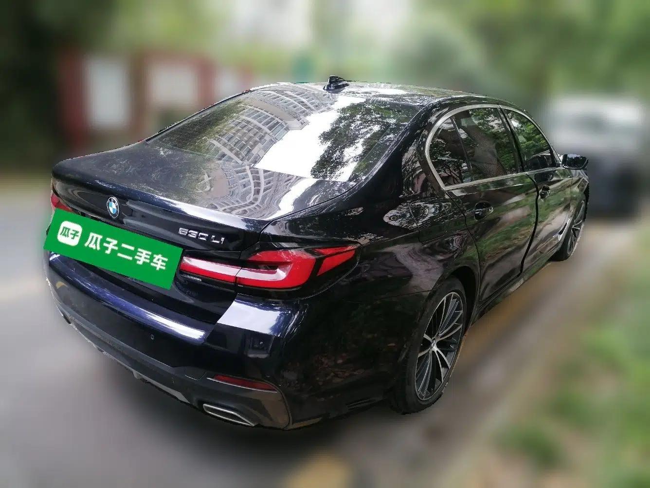 BMW 5 Series 2021 530Li Leading Model M Sport Package — миниатюра 6