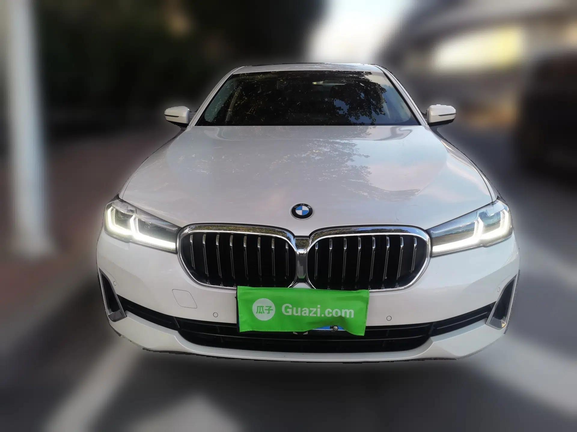 BMW 5 Series 2021 530Li xDrive Luxury Package — миниатюра 2