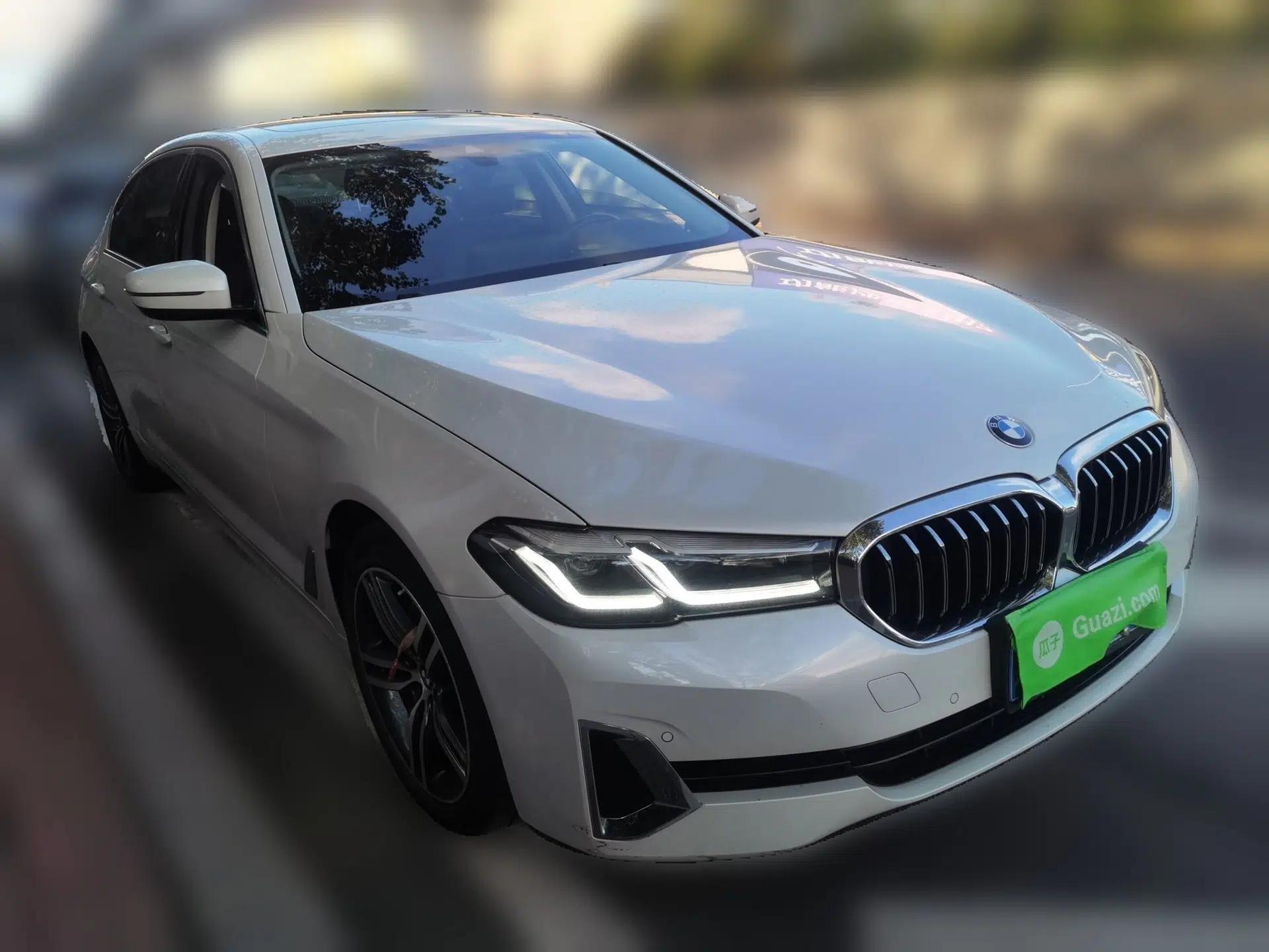 BMW 5 Series 2021 530Li xDrive Luxury Package — миниатюра 3