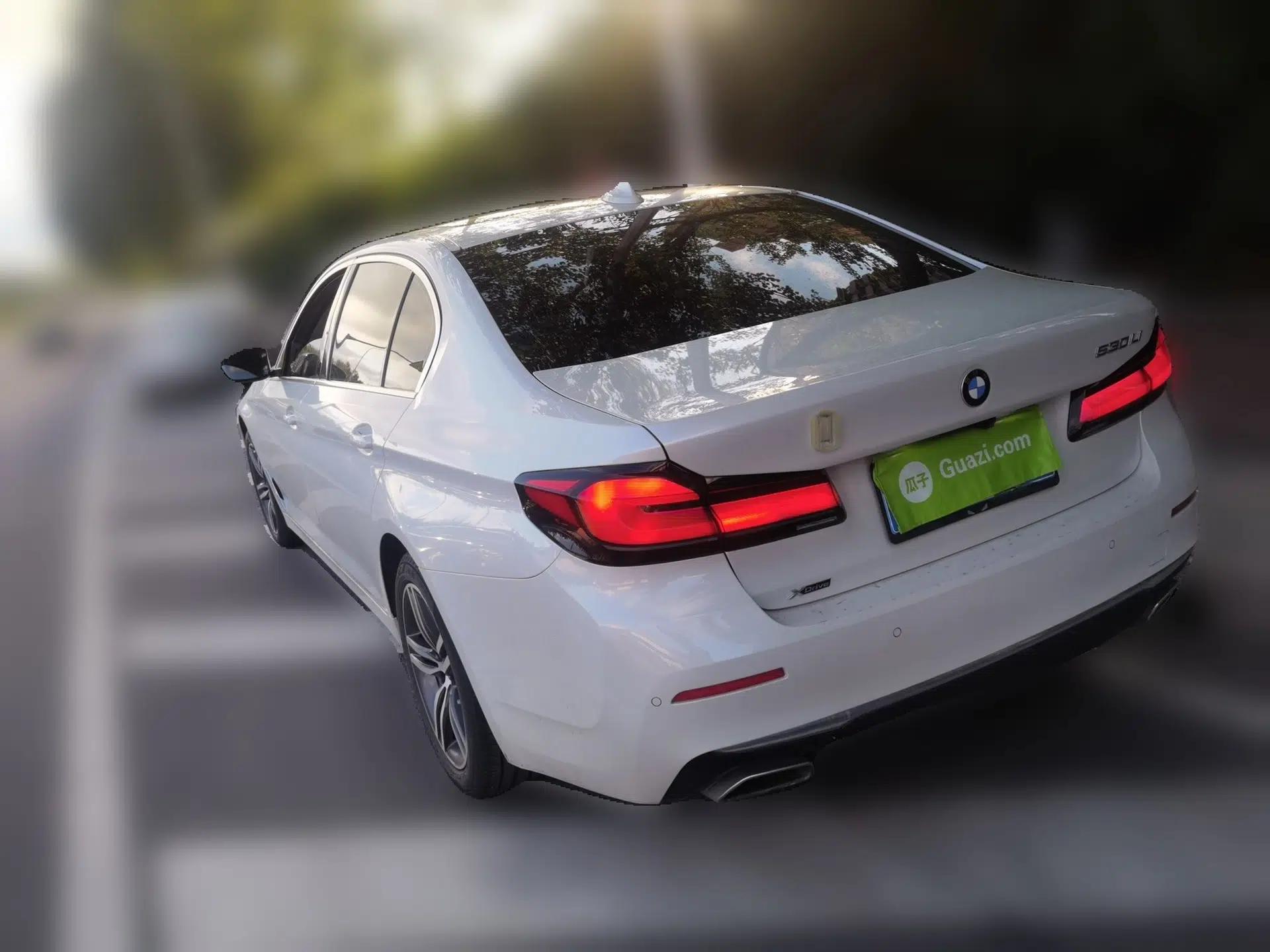 BMW 5 Series 2021 530Li xDrive Luxury Package — миниатюра 4