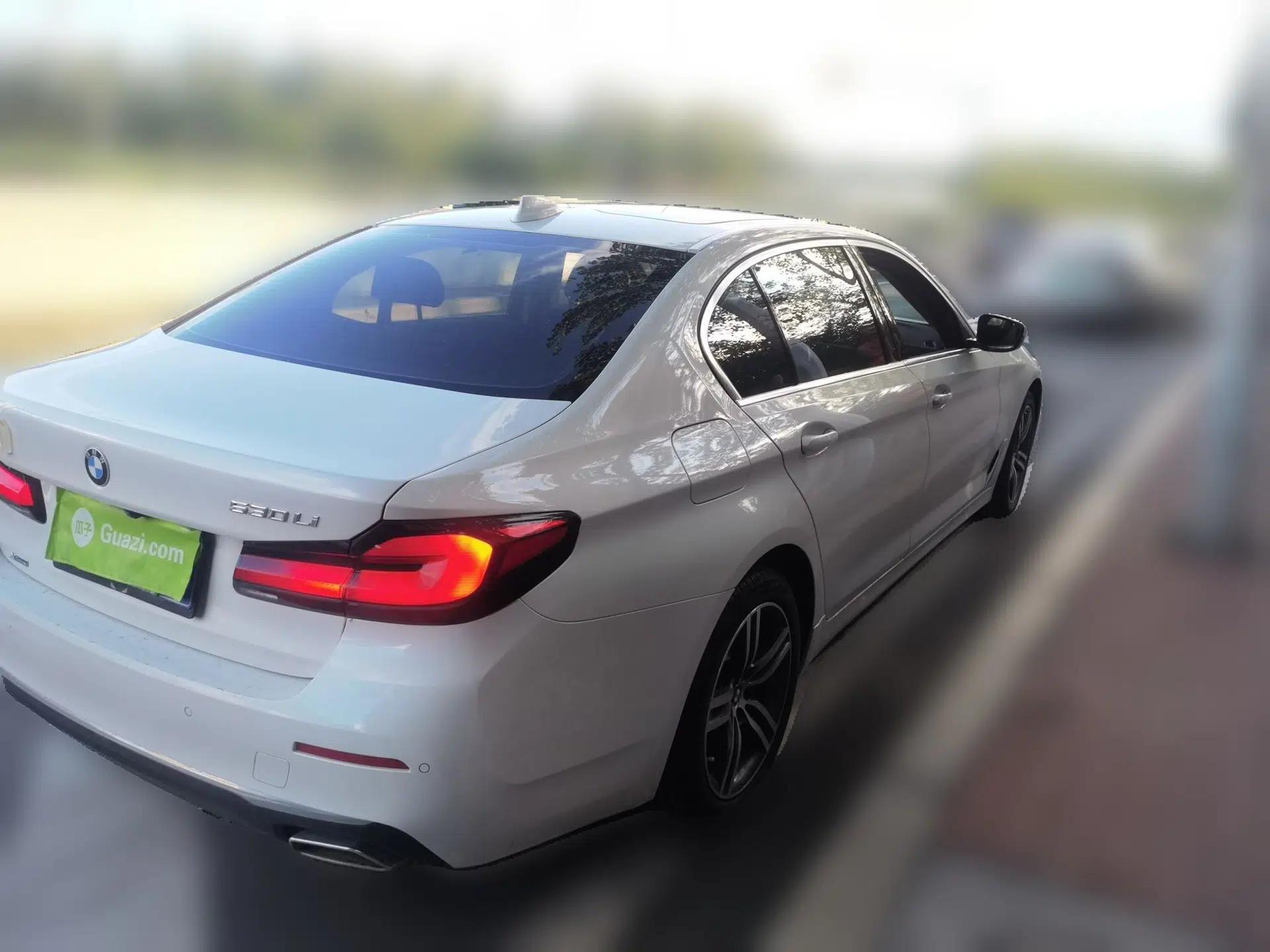 BMW 5 Series 2021 530Li xDrive Luxury Package — миниатюра 6