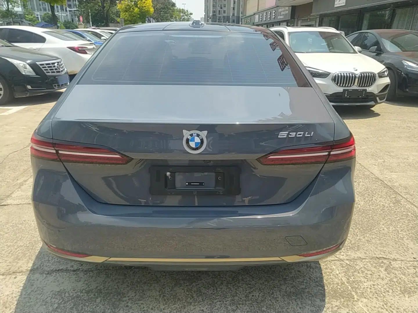BMW 5 Series 2024 530Li Luxury Package Premium Edition — миниатюра 5