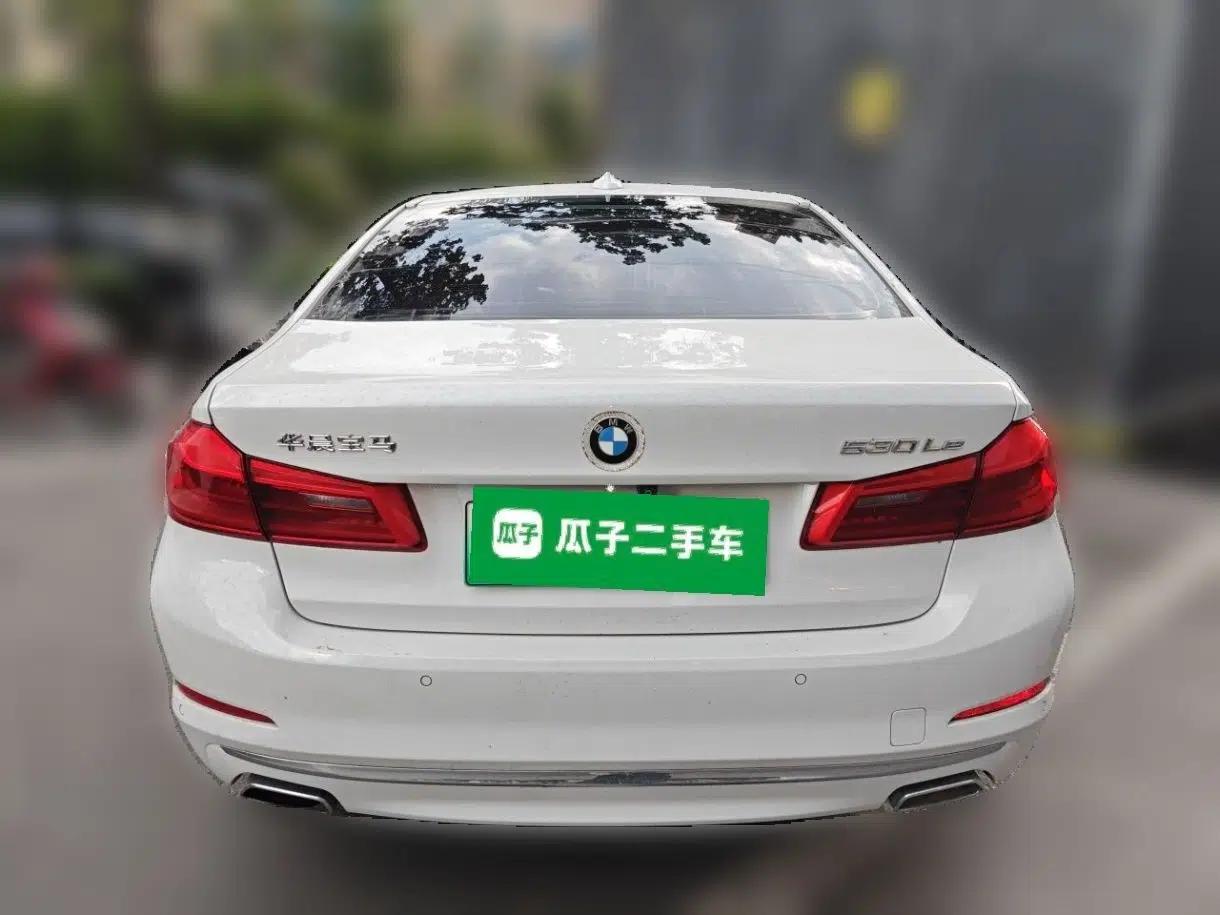 BMW 5 Series New Energy 2020 Mileage Upgrade Version 530Le Luxury Package — миниатюра 5