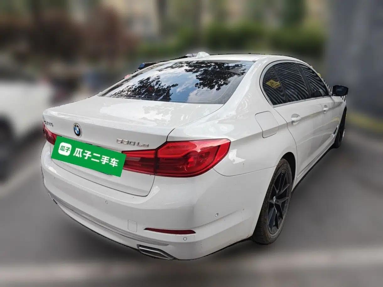 BMW 5 Series New Energy 2020 Mileage Upgrade Version 530Le Luxury Package — миниатюра 6