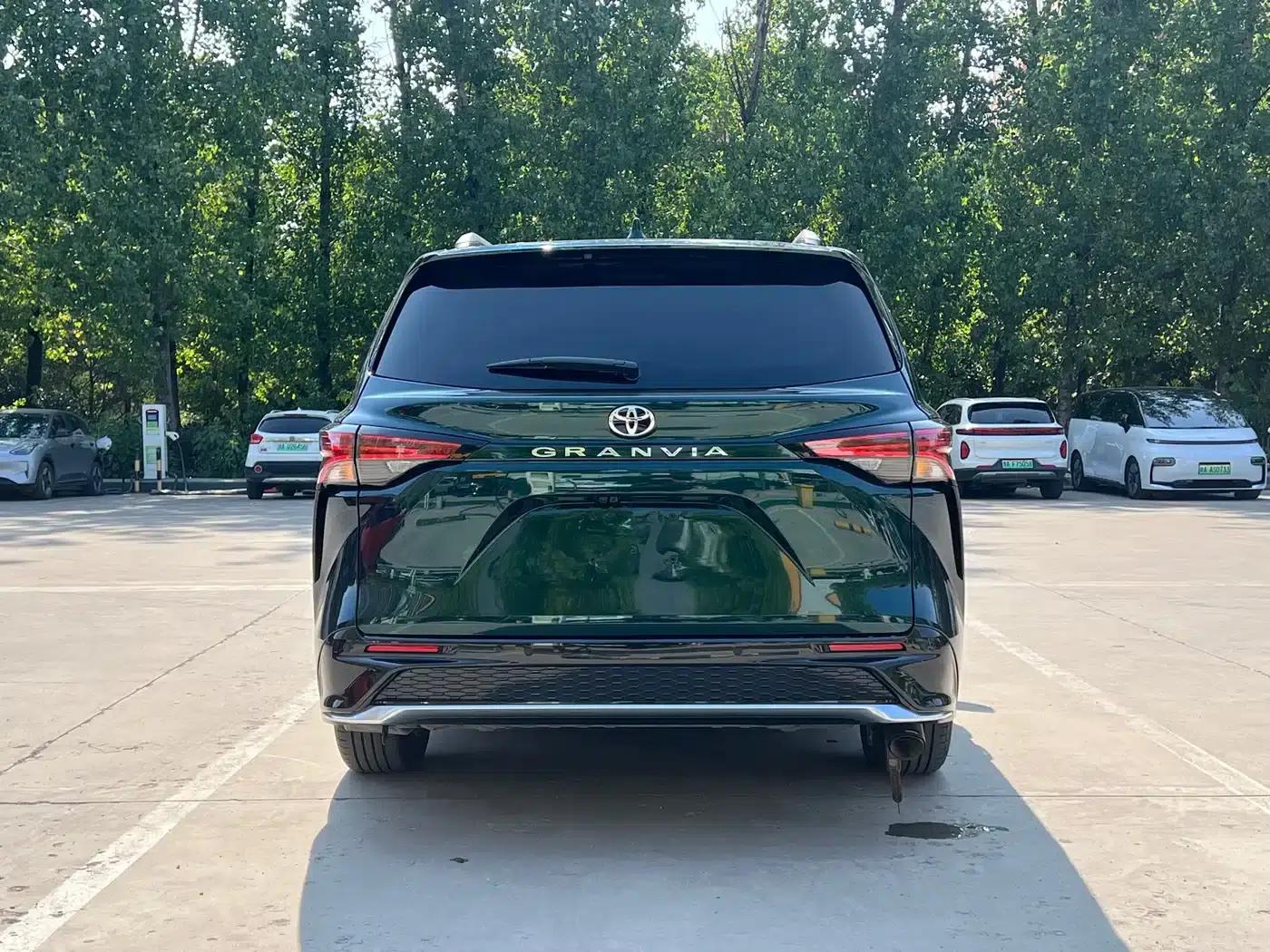 2026 Grevia 2.5L Hybrid Luxury MAX AWD — миниатюра 9