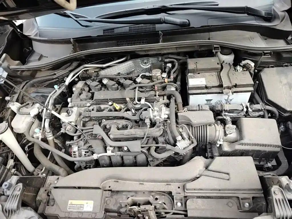 Fenglanda 2023 2.0L CVT Elite Edition — миниатюра 16