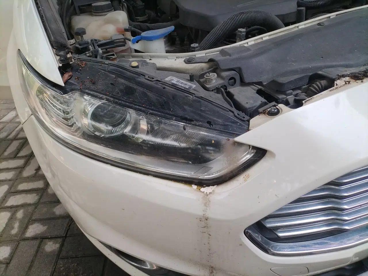 Ford Mondeo 2013 1.5L GTDi180 Fashion Edition — миниатюра 7