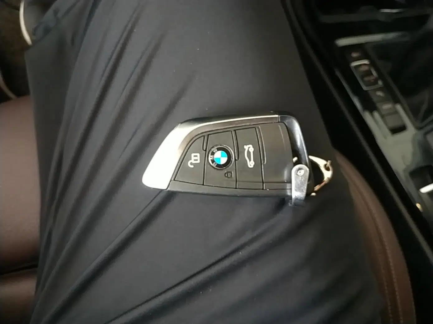 BMW X1 New Energy 2020 xDrive30Le Premium Edition — миниатюра 28