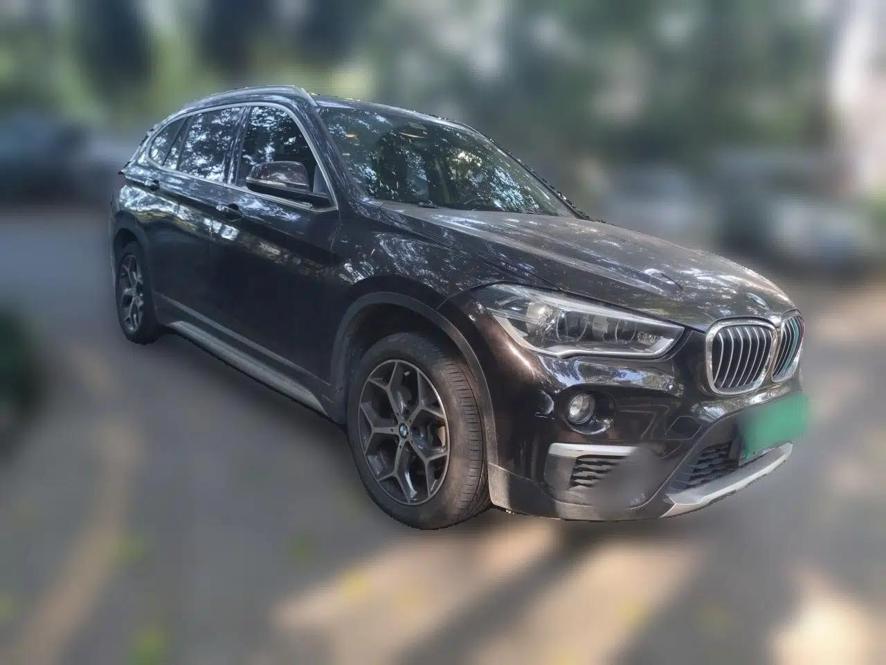 BMW X1 2018 xDrive20Li Luxury Edition — миниатюра 3