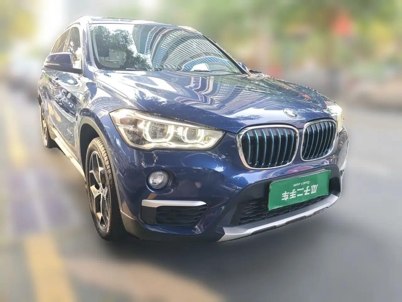 BMW X1 New Energy 2018 xDrive25Le Luxury Model — миниатюра 3