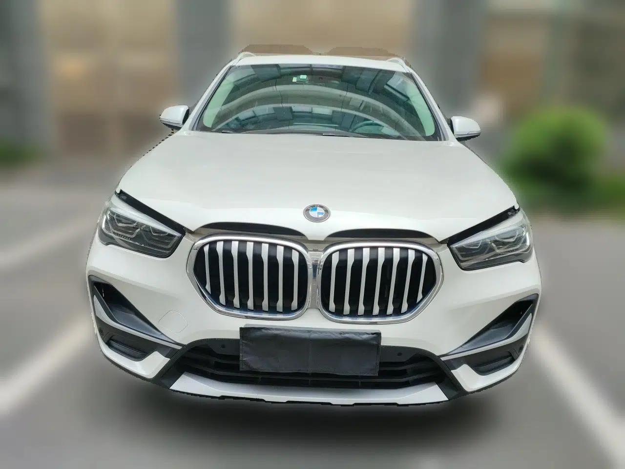 BMW X1 2020 xDrive25Li Luxury Edition — миниатюра 2
