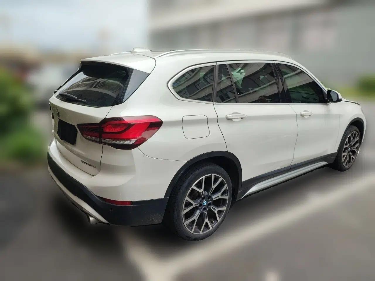 BMW X1 2020 xDrive25Li Luxury Edition — миниатюра 6