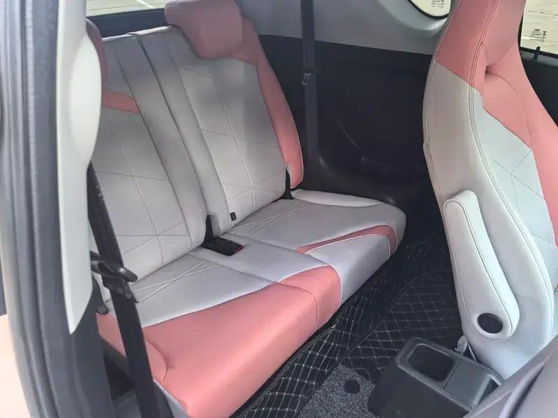 Little Ant 2022 Model, Sweet Pink (Half-Sugar) Lithium Iron Phosphate, 30.7kWh, 30kW, 301km/h — миниатюра 25