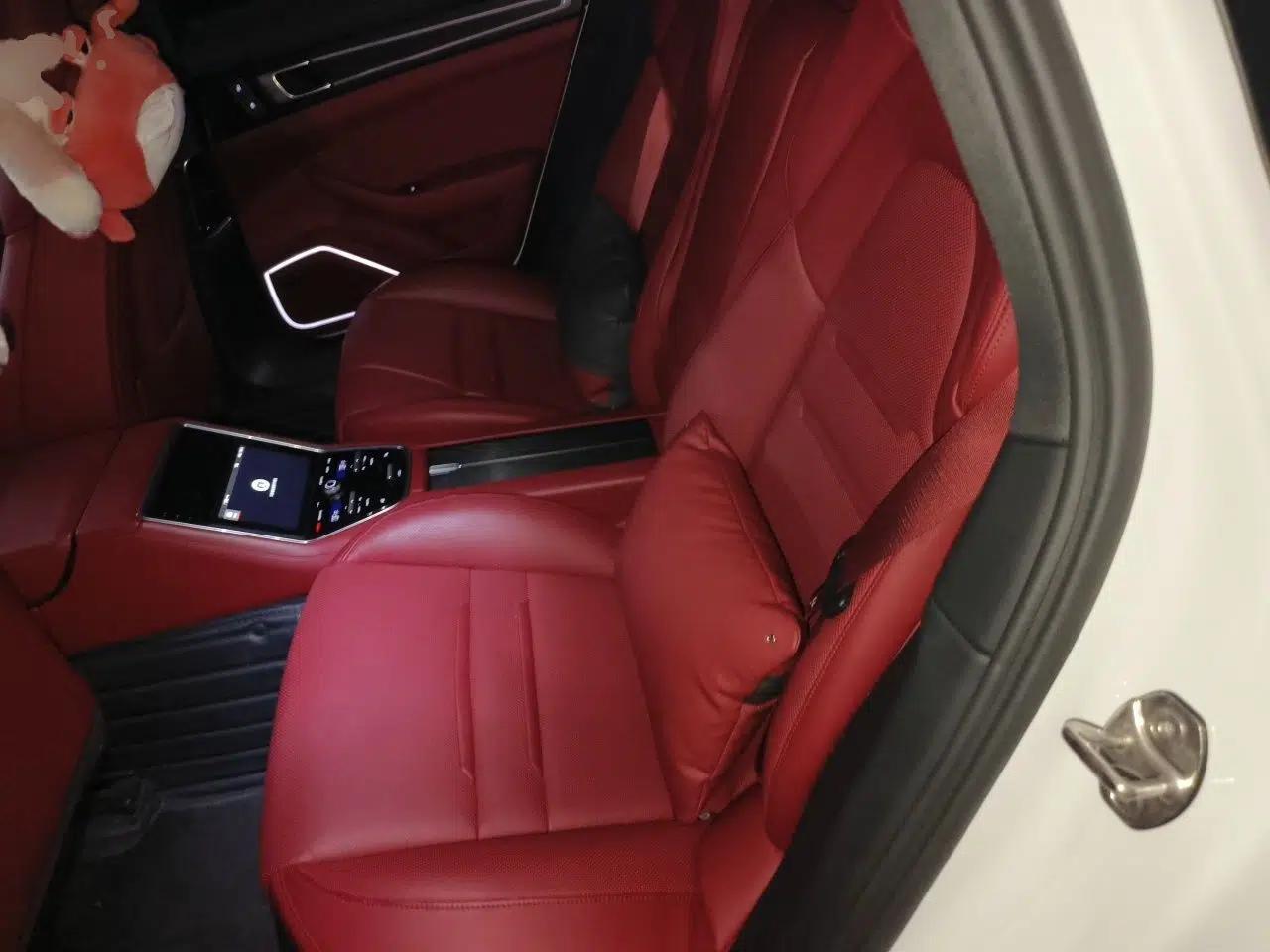 Porsche Panamera 2023 Panamera 2.9T Platinum Edition — миниатюра 17